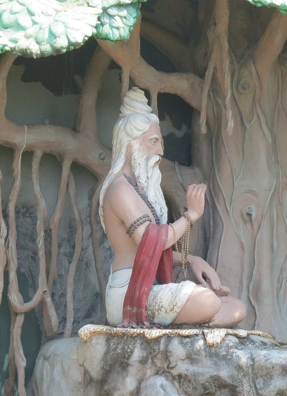 Veda Vyasa