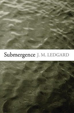 Cover of Submergence