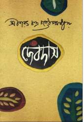 Cover of Devdas