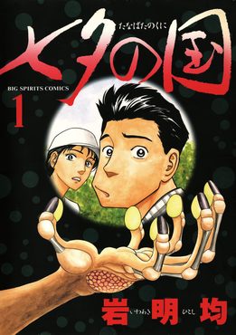 Cover of Tanabata no Kuni