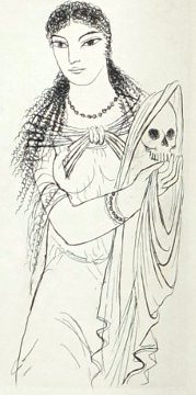 Cover of Wild Bára
