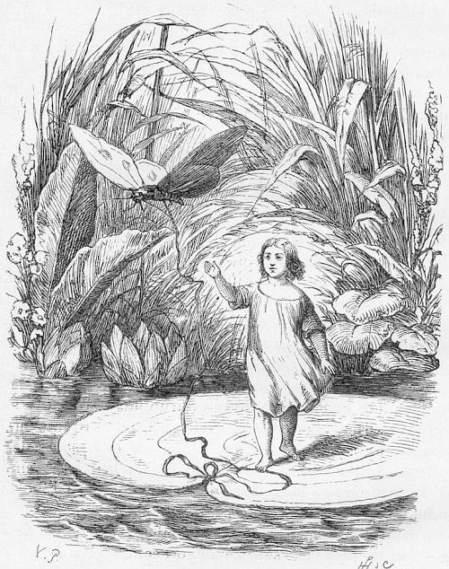 Cover of Thumbelina