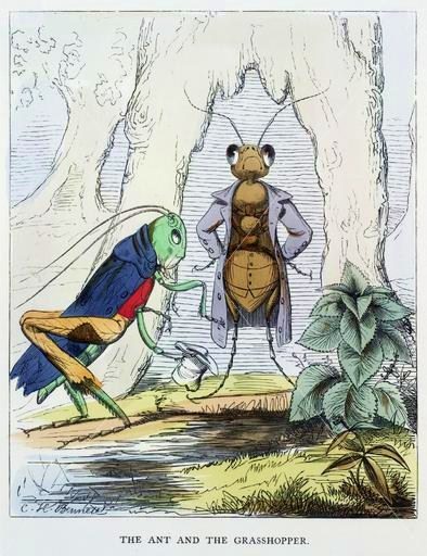 Cover of The Ants and the Grasshopper