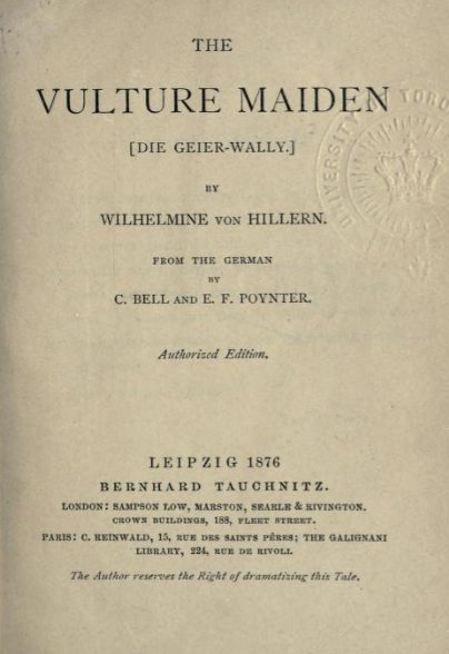 Cover of The vulture maiden