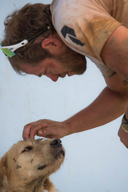 Cover of Arthur - The Dog Who Crossed the Jungle to Find a Home