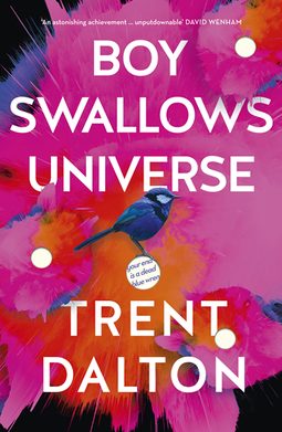 Cover of Boy Swallows Universe