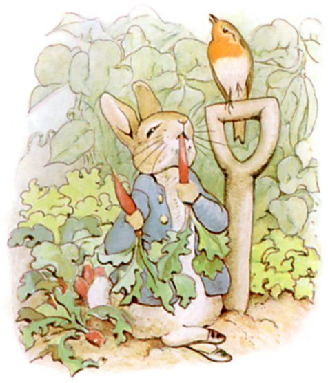 Cover of Peter Rabbit