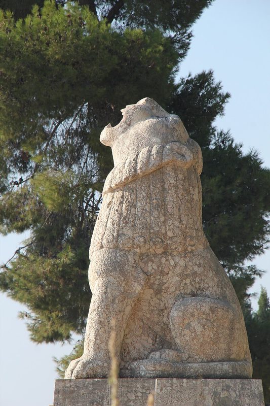 Cover of Lion of Judah