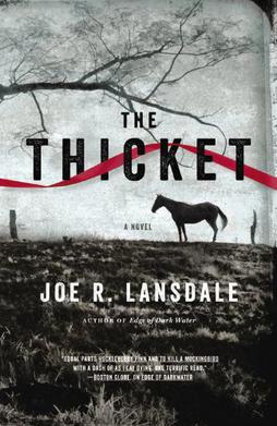 Cover of The Thicket