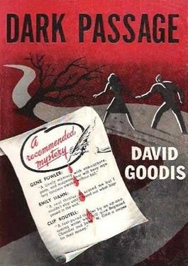 Cover of Dark Passage