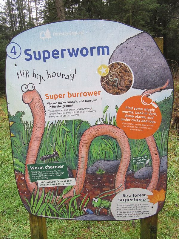 Cover of Superworm