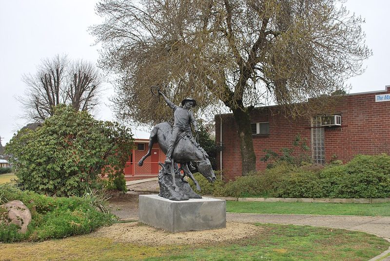 Cover of The Man from Snowy River
