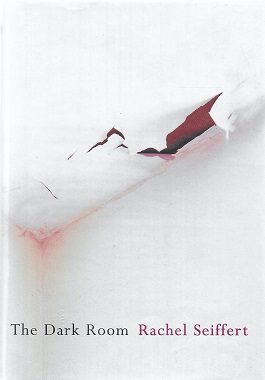 Cover of The Dark Room