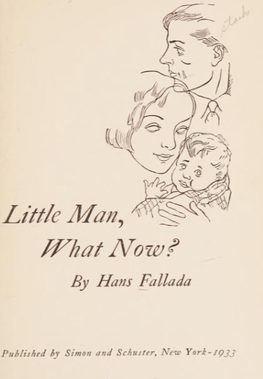Cover of Little Man, What Now?