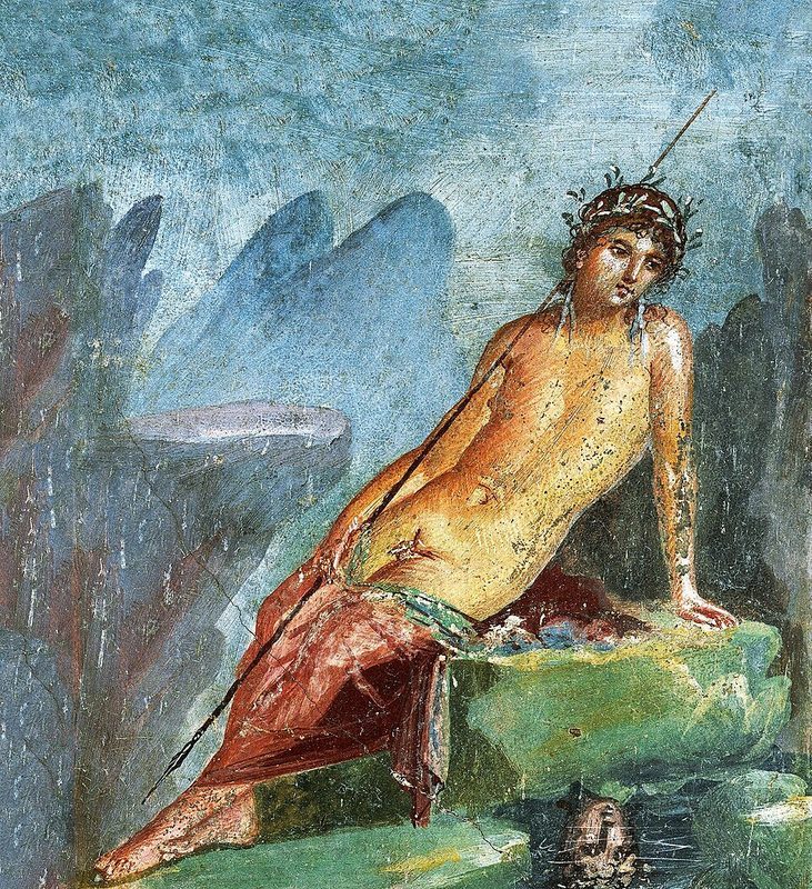 Cover of Narcissus