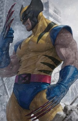 Cover of Wolverine