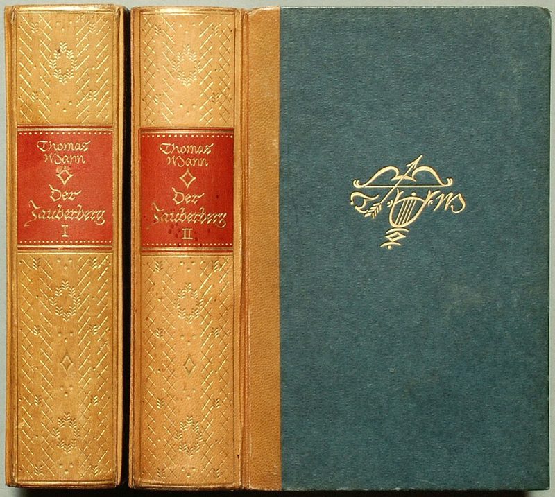 Cover of The Magic Mountain
