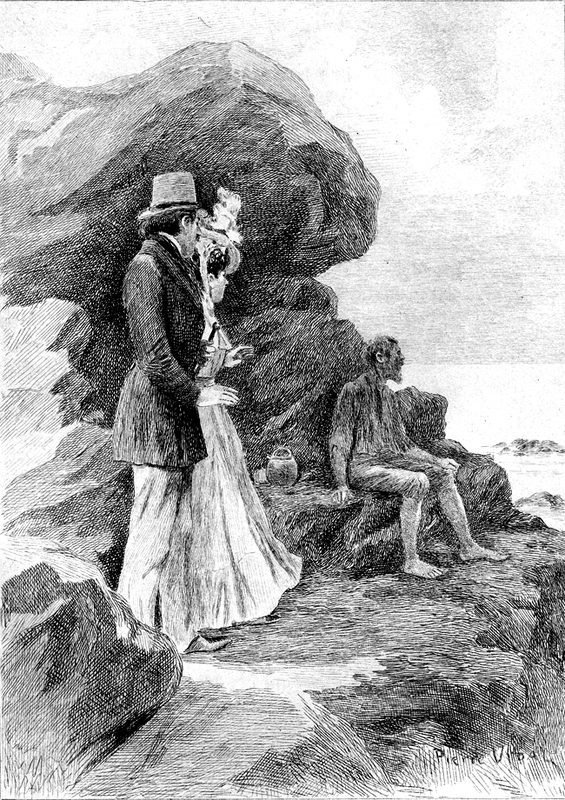 Cover of Un drame au bord de la mer