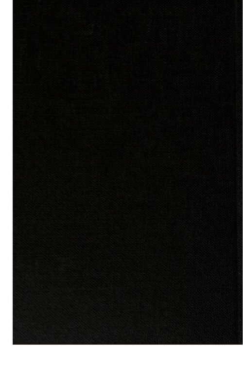 Cover of Forbidden Love
