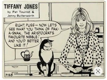 Cover of Tiffany Jones