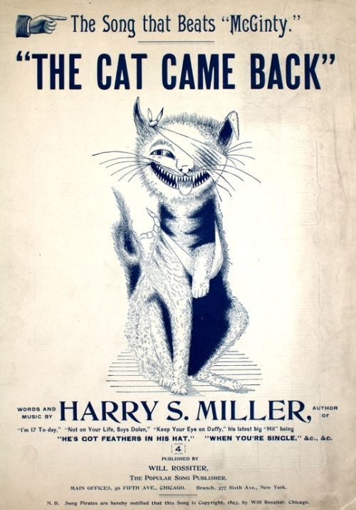 Cover of The Cat Came Back