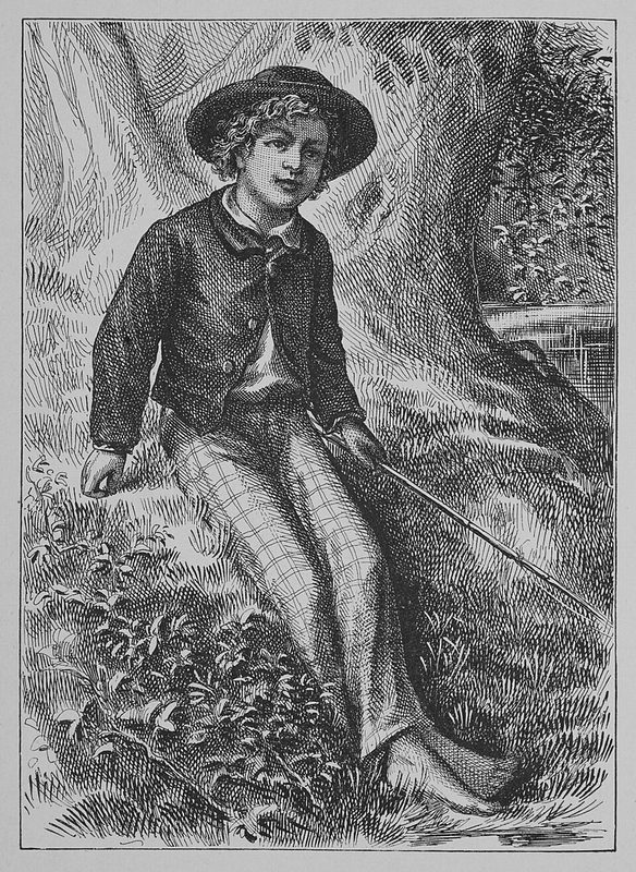 Cover of The Adventures of Tom Sawyer