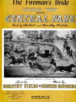 Cover of Up in Central Park