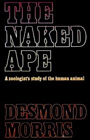 Cover of The naked ape