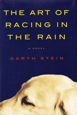 Cover of The Art of Racing in the Rain