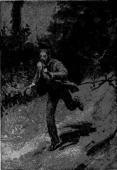 Cover of Lot No. 249