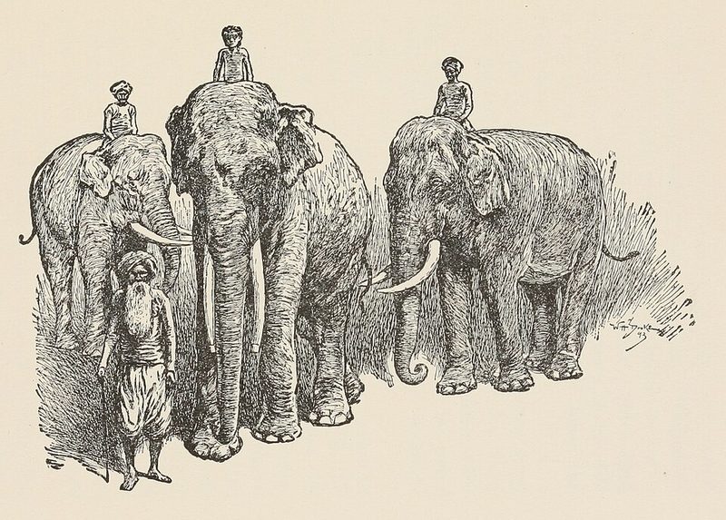 Cover of Toomai of the Elephants