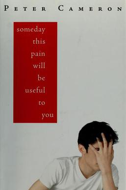 Cover of Someday This Pain Will Be Useful to You