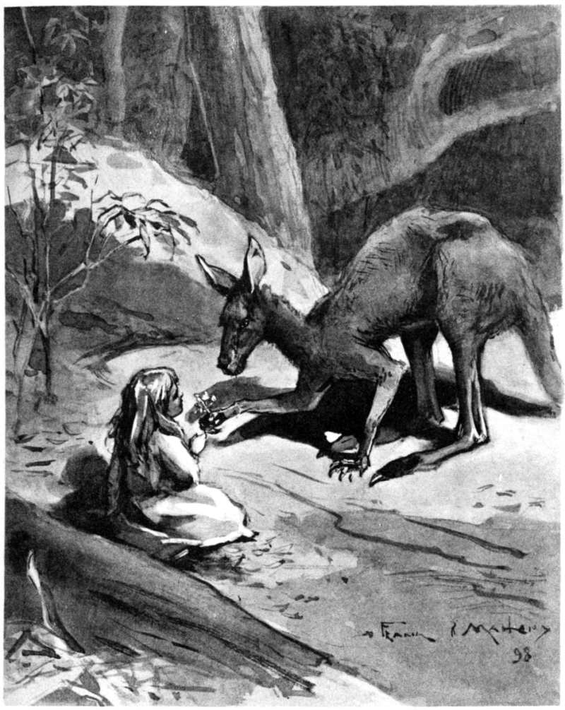 Cover of Dot and the Kangaroo