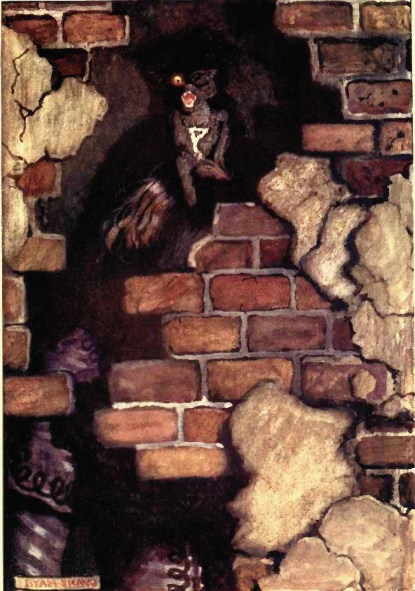 Cover of The Black Cat