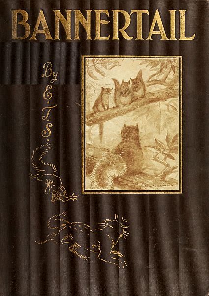 Cover of Bannertail