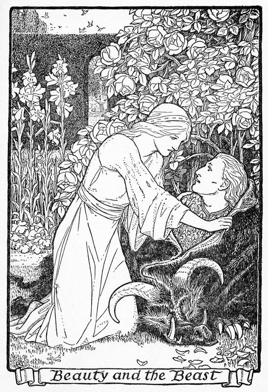 Cover of Beauty and the Beast