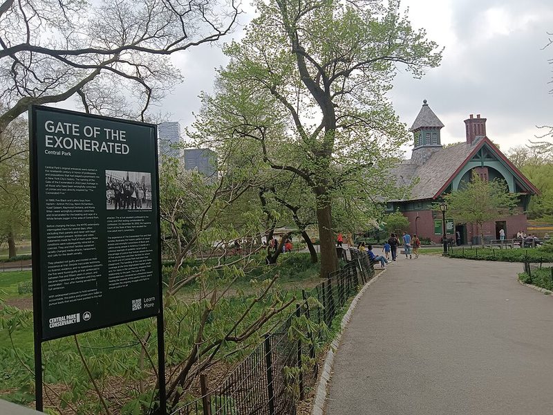 Cover of Central Park jogger case
