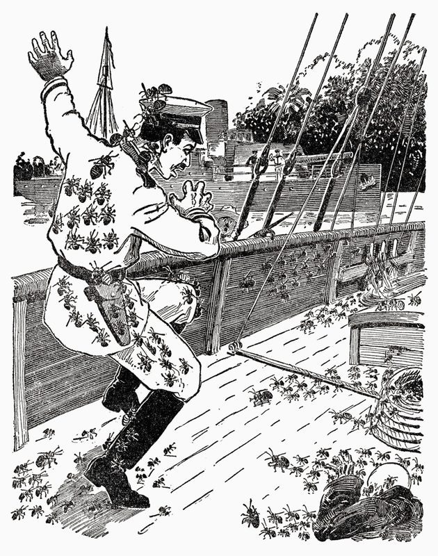 Cover of Empire of the Ants