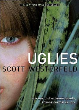Cover of Uglies