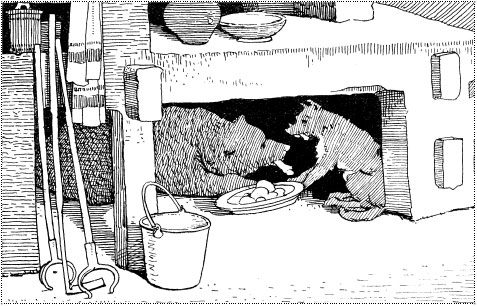 Cover of Dog and wolf