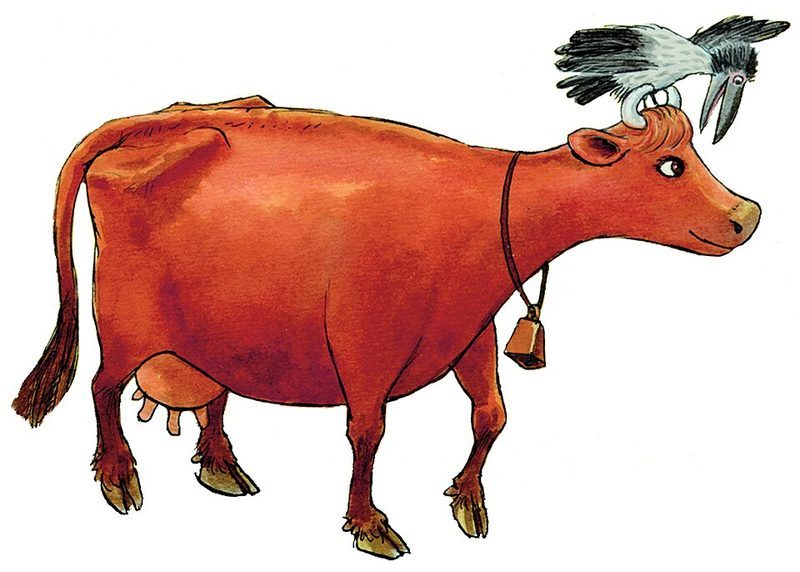 Cover of Mamma Moo