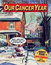 Cover of Our Cancer Year