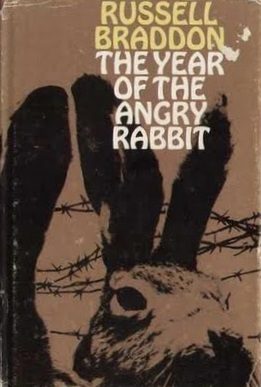 Cover of The Year of the Angry Rabbit