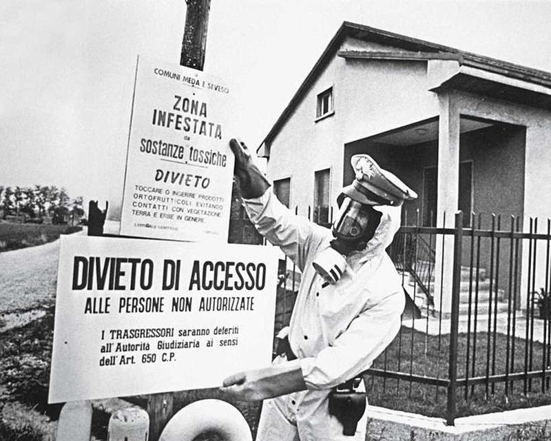 Cover of Seveso disaster