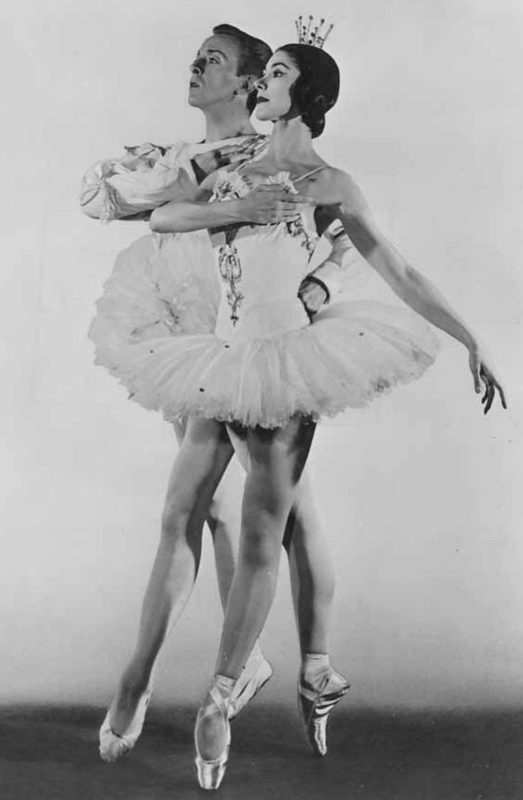 Cover of The Sleeping Beauty