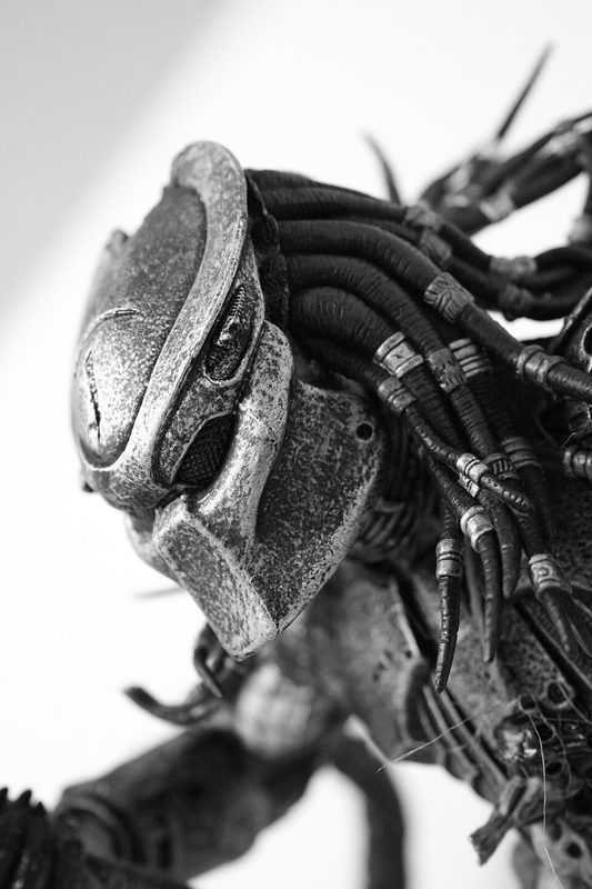 Cover of Predator