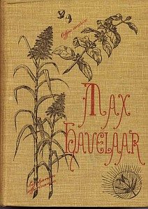 Cover of Max Havelaar