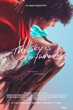 Poster for The Sky Is Everywhere