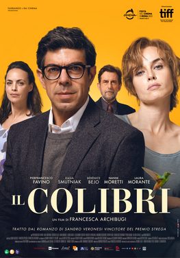 Poster for The Hummingbird