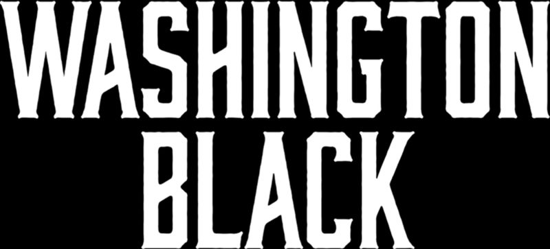Poster for Washington Black